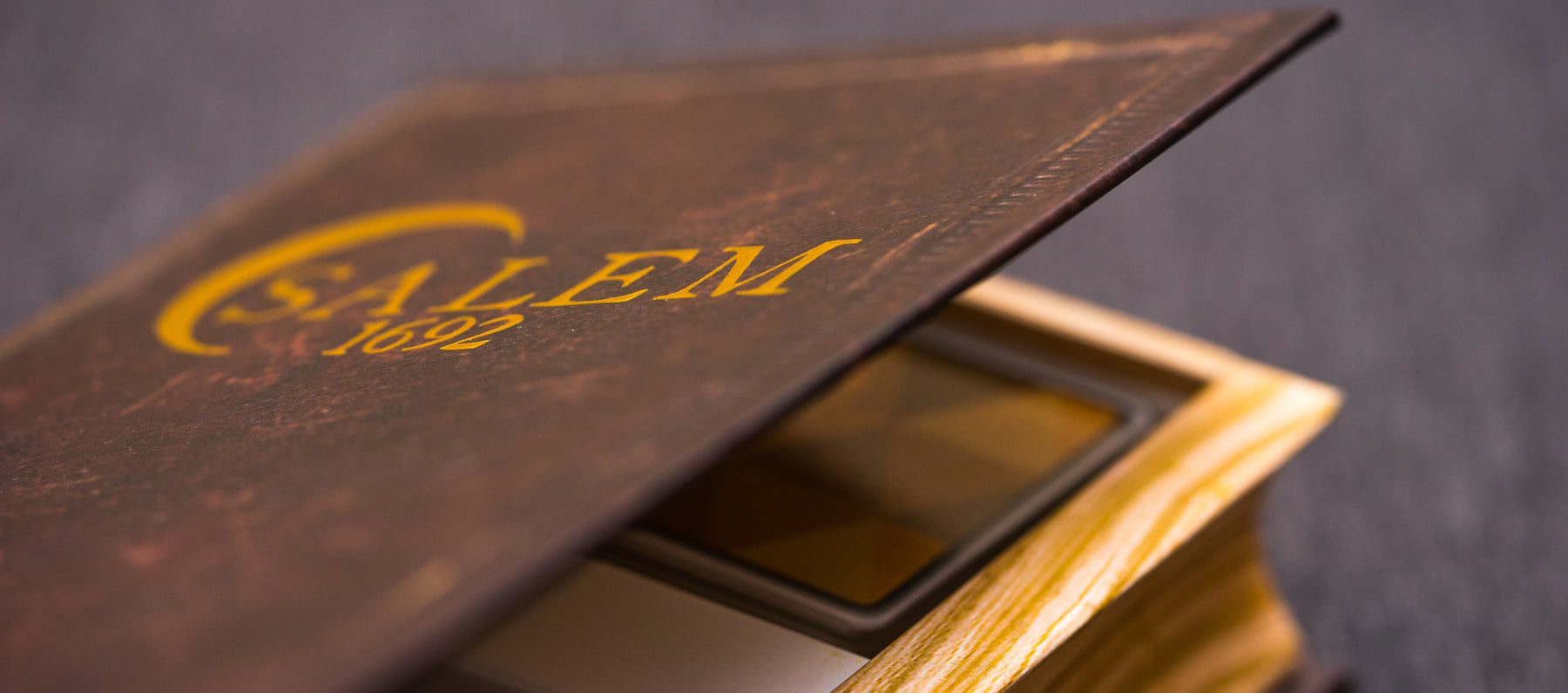 Salem 1692 in its book case
